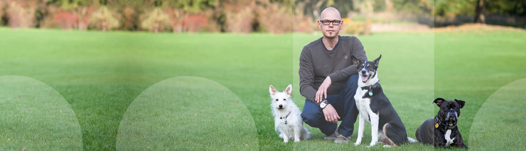 Hundetrainer Christian Niemand zusammen mit drei Hunden auf einer Wiese