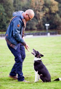 Nonverbale Arbeit mit einem Hund, in der Hundeschule Franklin & DOGS